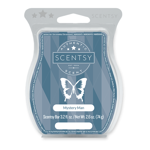 Mystery Man Scentsy Bar