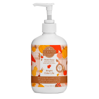 Scentsy deals hand soap