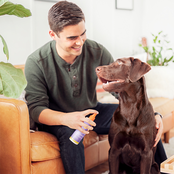 dog deodorizing spray