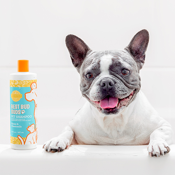 dog shampoo near me