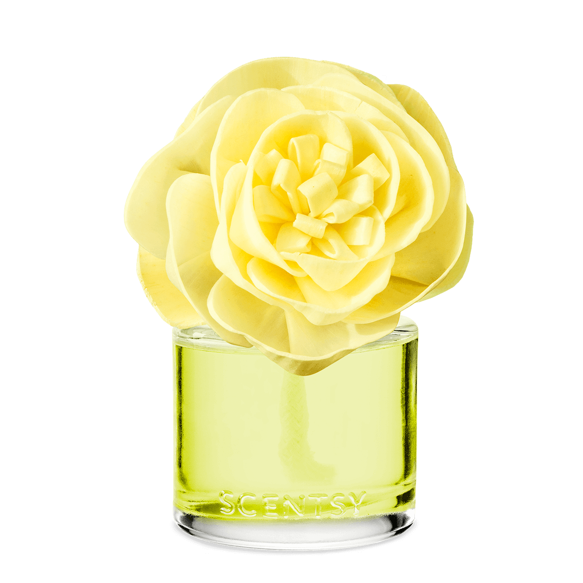 Lemon Lime Fizz Buttercup Belle Fragrance Flower